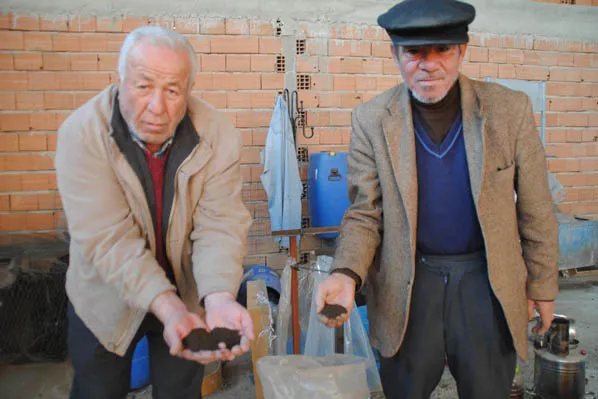 Herkes iğreniyor! O paraya para demiyor - 1