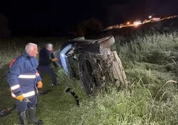 Yola çıkan domuz kazaya neden oldu: Yaralılar var