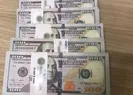 Sahte dolar vurguncusu yakayı ele verdi