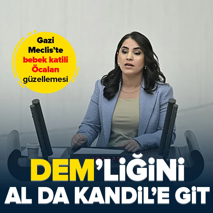 DEM Partiden Gazi Mecliste hadsizlik!