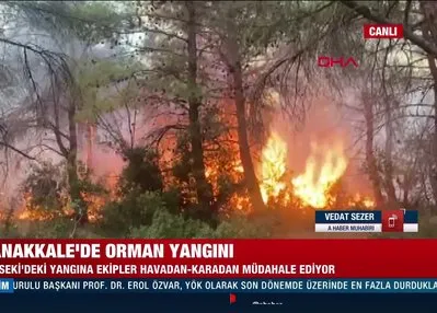 Çanakkale’de orman yangını!