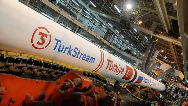 1708264034580.jpg Rusya Devlet Başkanı Putin'den Türkiye övgüsü: En güvenilir ortağımız Türkler oldu - 3