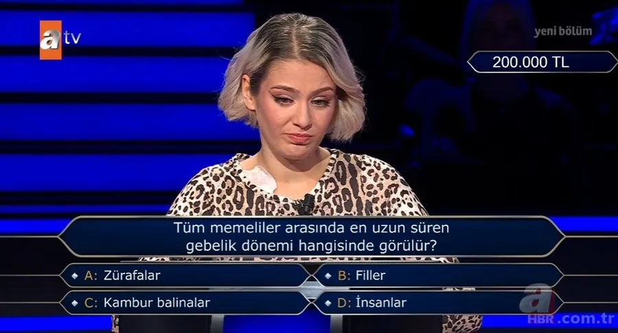 Milyoner'de alfabe sorusu damga vurdu! Verdiği yanıtla herkesi şoke etti 22