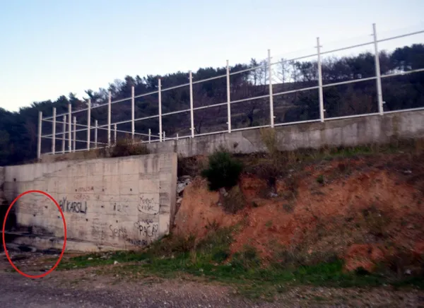 1634378967699.jpg İzmir'de kan donduran işkence! Boğup ormanda yaktılar - 2