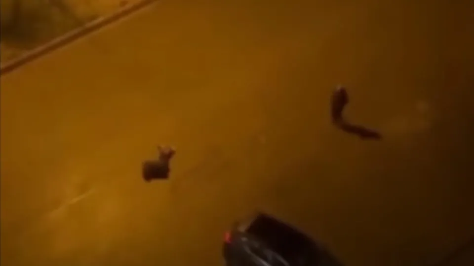 Batman’da cinayet: 2 ölü