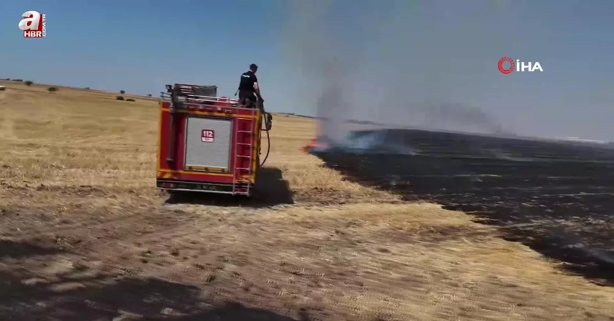 Edirne'de anız yangını paniği