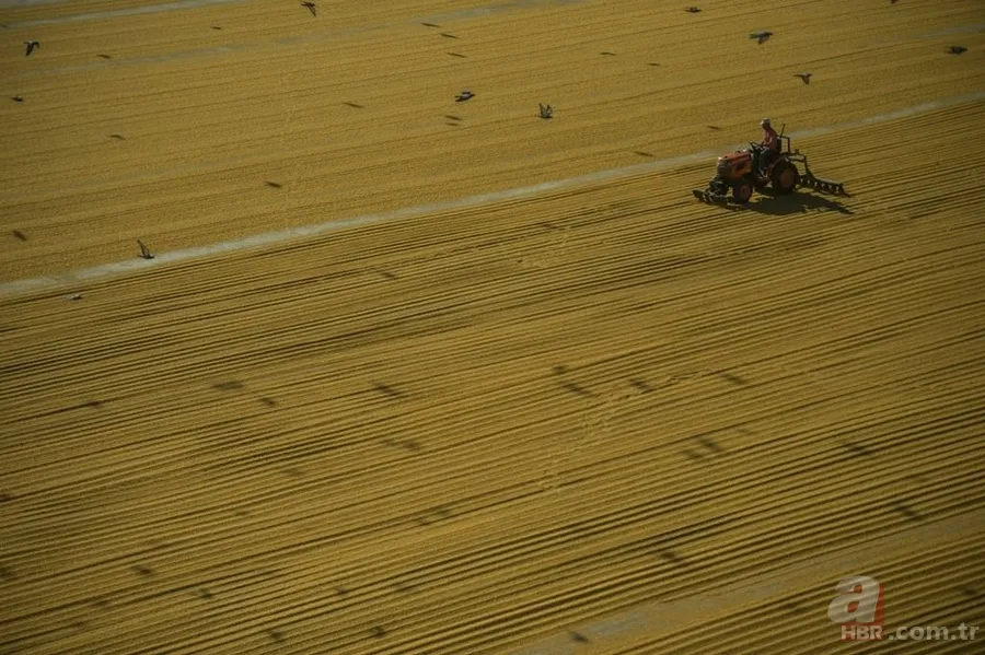 Güneydoğu bulguru 88 ülkeye satıldı 15