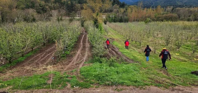 Çanakkale'de zirai don alarmı: Hasar tespit çalışmaları aralıksız sürüyor