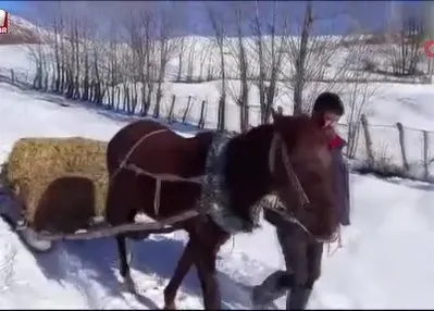 Besicilerin kar altında zorlu mesaisi