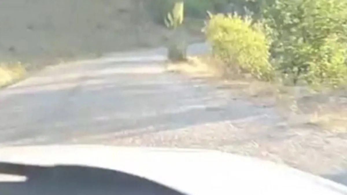 Sinop'ta şarampole devrilen otomobildeki 4 kişi yaralandı