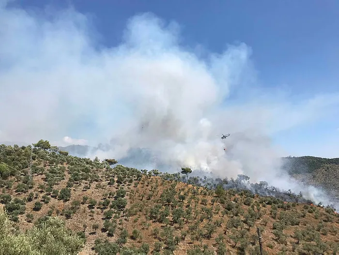 Son dakika: Muğla Milas'ta orman yangını çıktı | A Haber muhabiri son durumu aktardı - 1