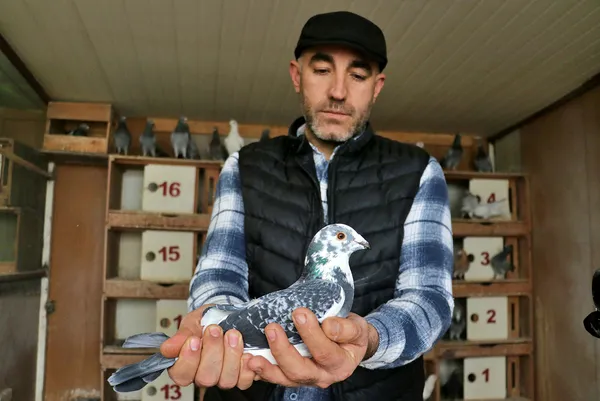 yeni-rota-belirleniyor-hedef-avrupa-1674728582696.jpg Yeni rota belirleniyor: Hedef Avrupa - 7