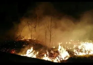 Karadeniz'deki orman yangınlarını PKK üstlendi