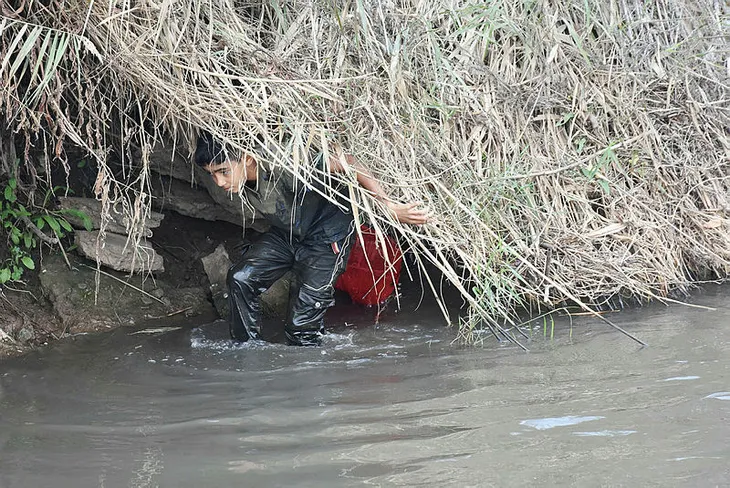 Gediz Nehri'nde kıyıya vuran balıkları toplayanlara yetkililerden "yemeyin" uyarısı - 1