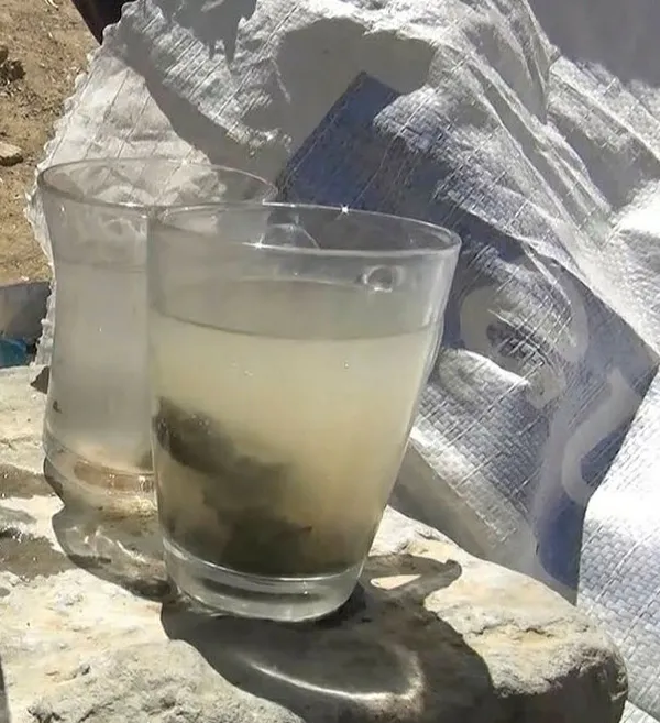 Muş'ta şifalı su olarak bilinen yer mikrop yuvası çıktı - 4