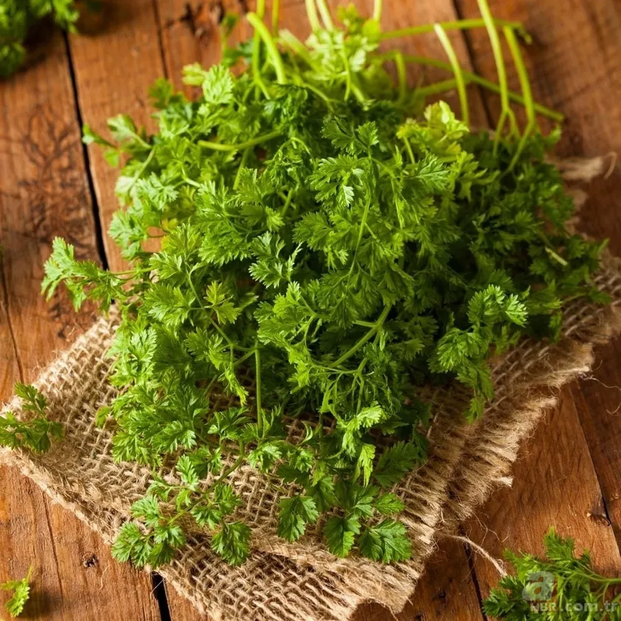 Kan grubuna göre nasıl beslenilmeli? O yeşilliklere dikkat 12