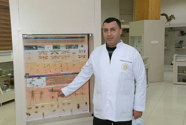 Prof. Dr. Satar uyardı: Çekirgelere karşı önlem alınmazsa 2021'de istilaya neden olur - 4