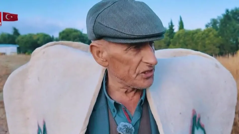 Yıllardır İstanbul’da çobanlık yapıyor