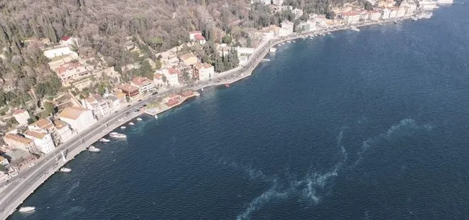 İstanbul Boğazı’nda şaşırtan görüntü! İstila ettiler