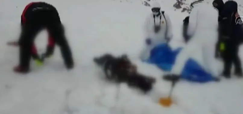 Son dakika: Van Valiliği: İran sınırında 7 mültecinin cesedi bulundu