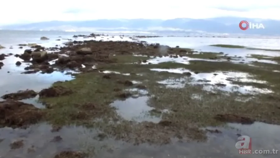 Sahilde tedirgin eden olay! Binlerce yıllık tarihi ortaya çıkardı | "İnşallah afet habercisi değildir" 5