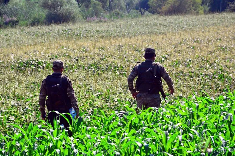 Marmaris'te otel saldırısına katılan askerler özel seçilmiş 18