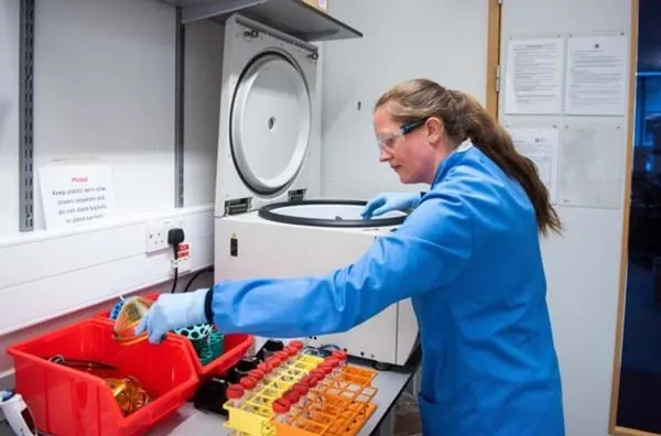 Son dakika: Son aşamada durdurulan Oxford Kovid-19 aşı adayıyla ilgili flaş gelişme