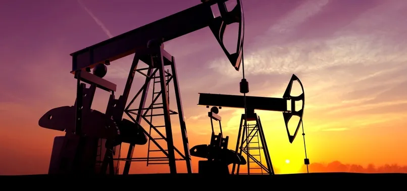 Petrol aramak için TPAO'dan 3 başvuru daha!