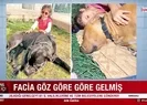 İngilizlerin canavarlaştırdığı köpek: Pitbull!