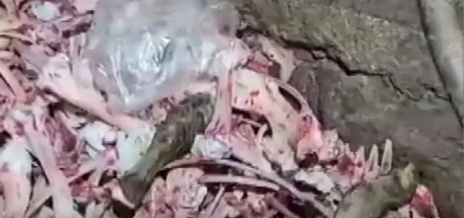 Kayseri'de 1,5 ton uygunsuz et ele geçirildi! Vatandaşa yedireceklerdi