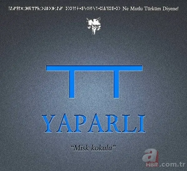 Türkiye'de hangi il hangi Türk boyundan geliyor? Şehirlerin soyağacı ortaya çıktı! 40