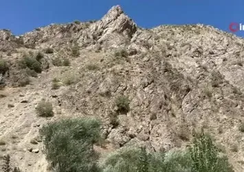 Kaya balının kilosunu 3 bin TL'den satıyor