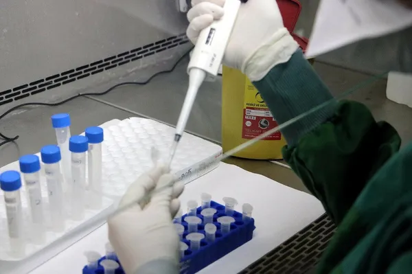 son-dakika-saglik-bakani-kocadan-mutasyon-aciklamasi-turkiyedeki-koronavirus-vakalarinda-mutasyona-rastlandi-mi-1609003984897.jpg Son dakika: Sağlık Bakanı Koca'dan mutasyon açıklaması! Türkiye'deki koronavirüs vakalarında mutasyona rastlandı mı? - 2