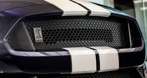 2019 Ford Mustang Shelby GT350 resmiyete kavuştu