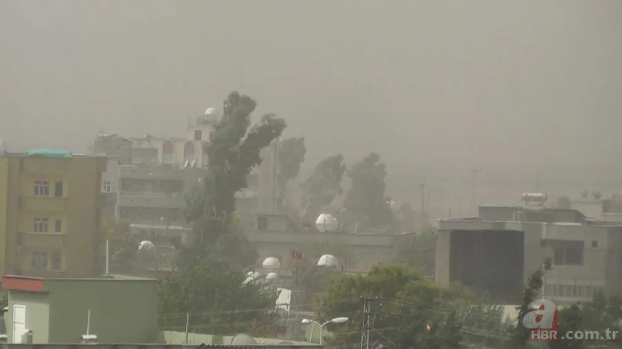 24 Mart hava durumu raporu: Alerjisi astımı olanlar dikkat! Mali'den çöl tozu geliyor! Yeni haftada sıcaklıklar artıyor 6