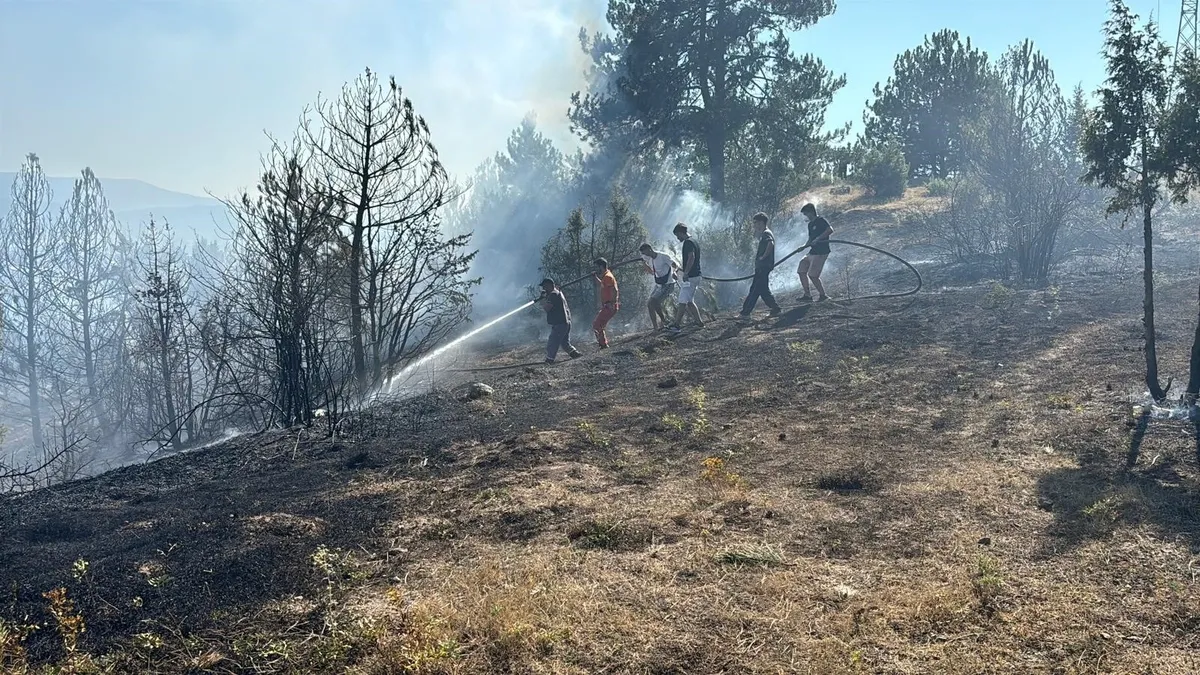 Bolu'da çalılık arazide yangın! Evlere sıçramadan söndürüldü