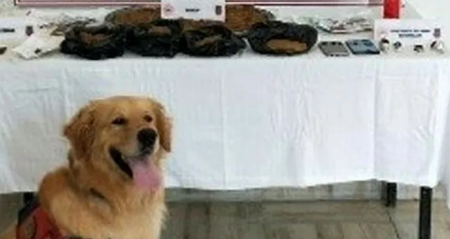 mersinde-1-kilo-620-gram-sentetik-uyusturucu-ele-gecirildi-1624627413025.jpg Mersin'de 1 kilo 620 gram sentetik uyuşturucu ele geçirildi - 1