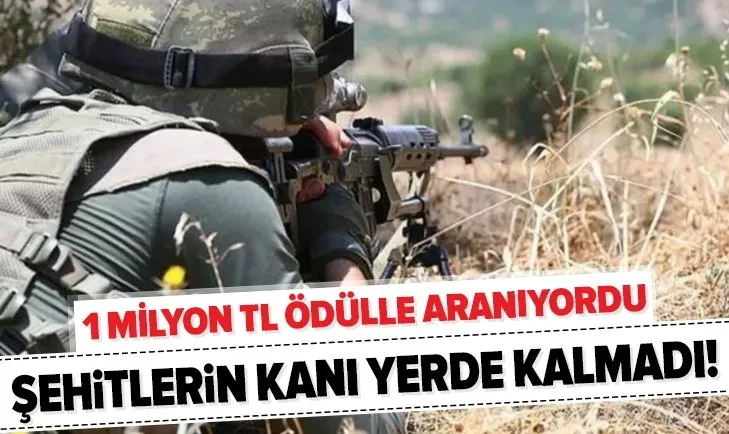 Son dakika: Şehitlerimizin kanı yerde kalmadı! Turuncu listedeki terörist öldürüldü