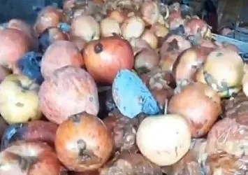 Bakanlık harekete geçti! Mide bulandıran görüntü...