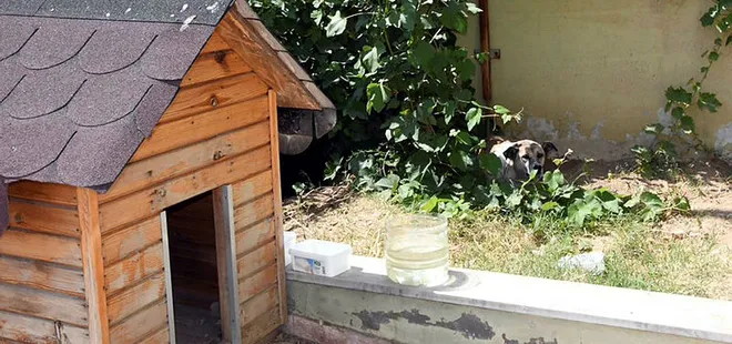 Daire 16'nın zaferi! Köpük yerinde kalacak