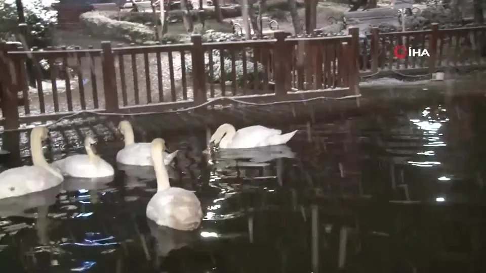 Ankara’da yoğun kar yağışı! Başkent beyaza büründü |Video