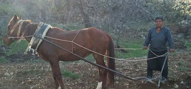 Belediye işçisi tarlada boğazı kesilmiş halde bulundu