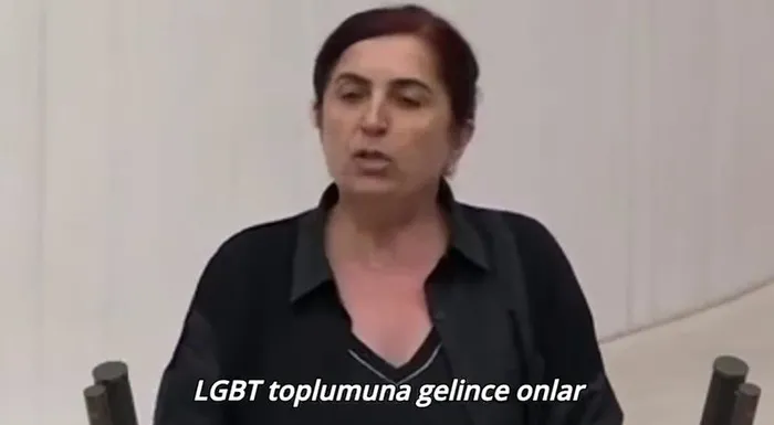 dem-partili-sevilay-celenk-ve-kezban-konukcudan-skandal-tbmmde-lgbt-sapkinligini-savundular-1722179717557.jpeg DEM Parti'li Sevilay Çelenk