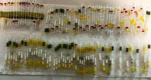 Piyasa değeri 3 milyon 350 bin lira!