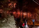 Fethiyede orman yangını başladı