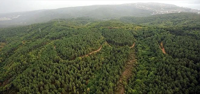 Son dakika: Türkiye’nin birçok yerinde ormanlara girmek yasaklandı! İşte o iller...