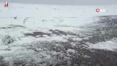 Posof’ta kar yağışı