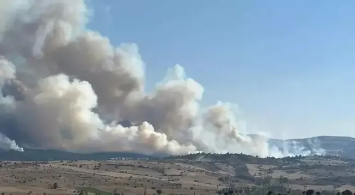 egede-orman-yangini-iki-kentte-dumanlar-yukseldi-1727636970507.jpeg Ege'de orman yangını! İki kentte dumanlar yükseldi - 1