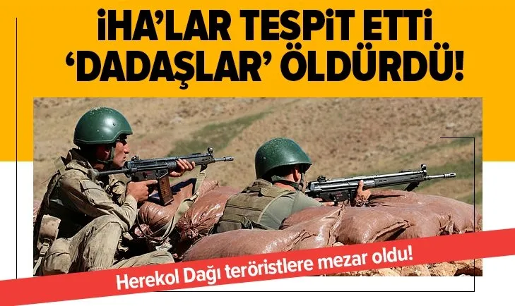 Herekol Dağı teröristlere mezar oldu!