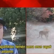 Son dakika: Pumanın saldırısına uğrayan genç dünyanın konuştuğu videoyu A Habere anlattı! Milyonlarza izleme alan o videoyu nasıl çekti? İşte o görüntülerin perde arkası